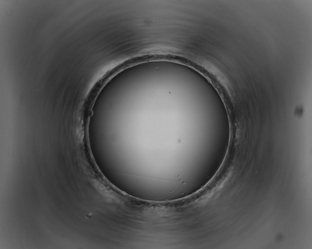 X0000102350973200808081150