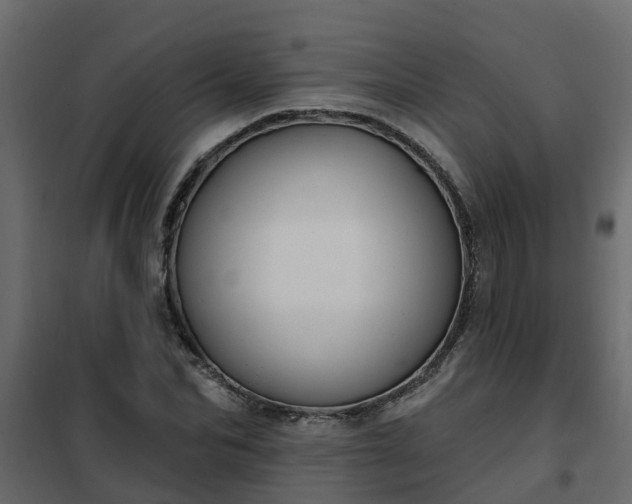 X0000102350974200808081150