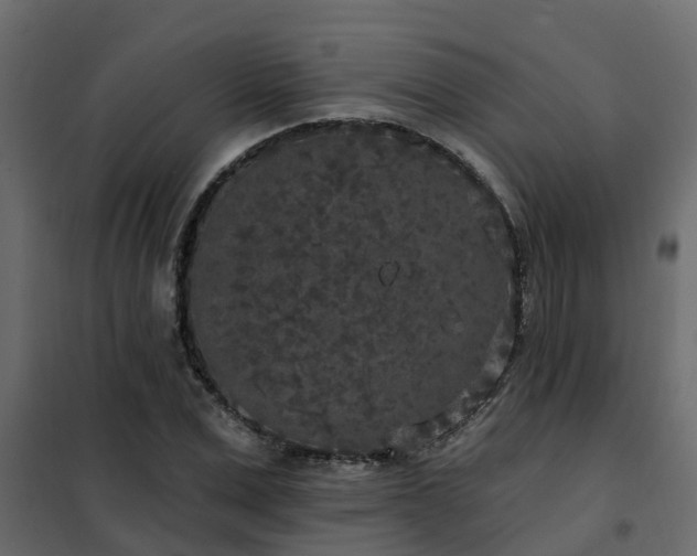 X0000102350975200808081150