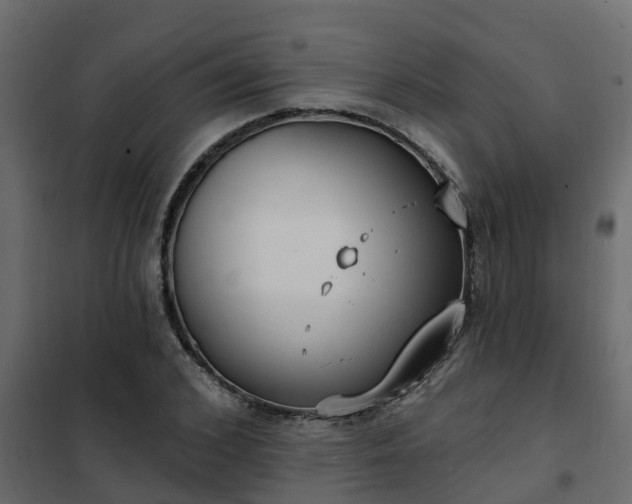 X0000102350976200808081150