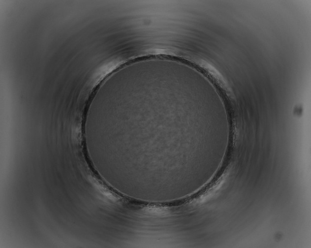 X0000102350977200808081150