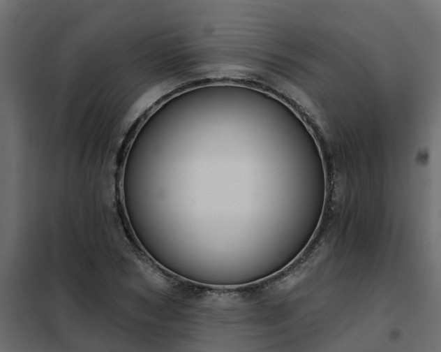 X0000102350978200808081150