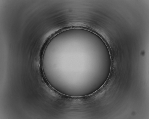 X0000102350979200808081150