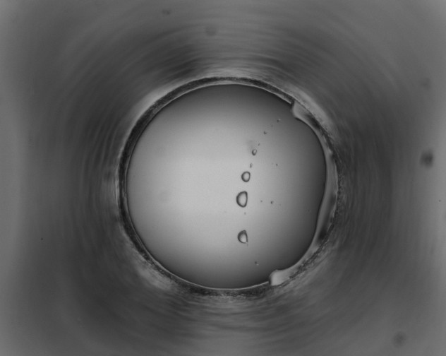 X0000102350980200808081150