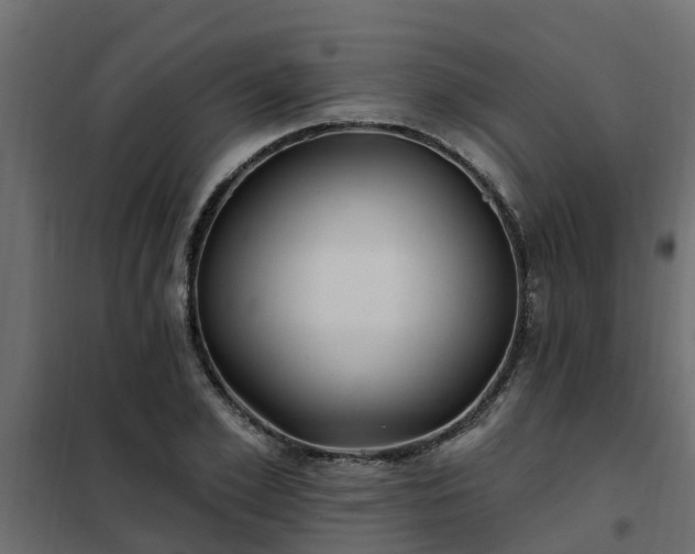 X0000102350981200808081150