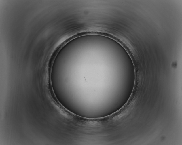 X0000102350982200808081150