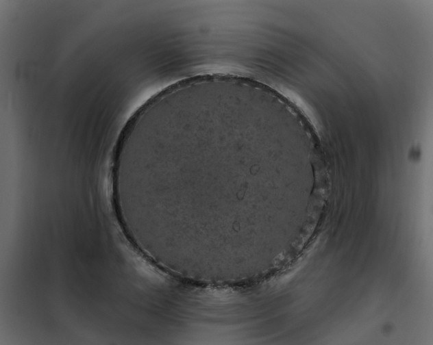 X0000102350983200808081150