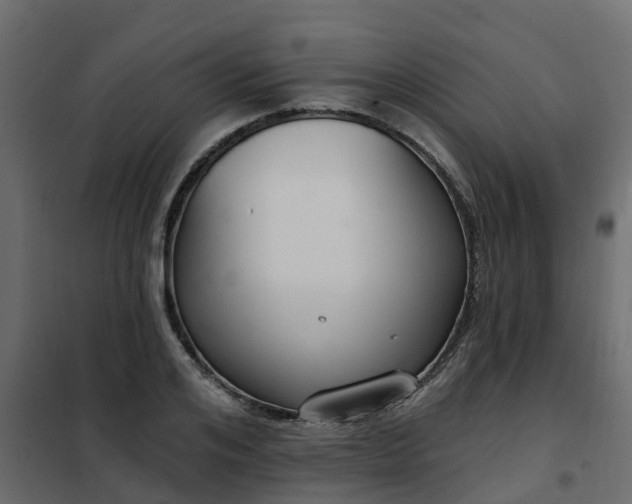 X0000102350984200808081150