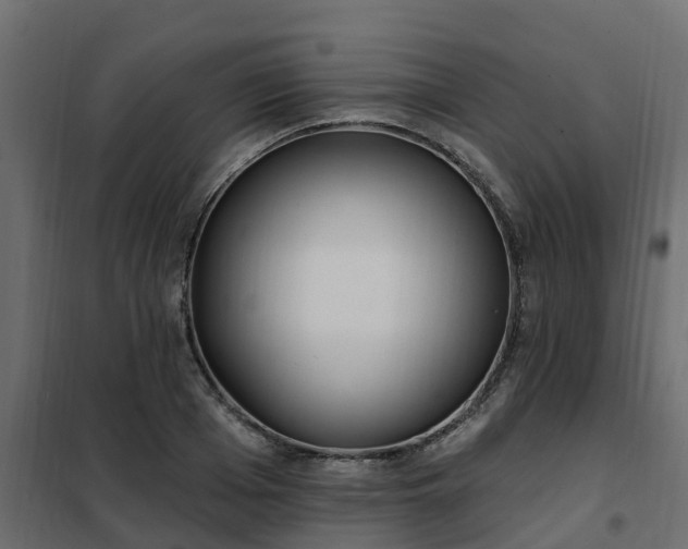 X0000102350985200808081150