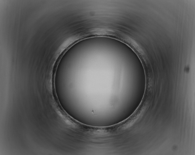 X0000102350986200808081150