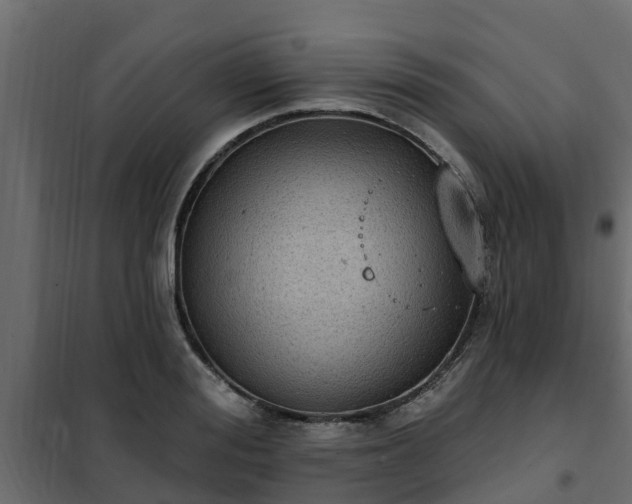 X0000102350988200808081150