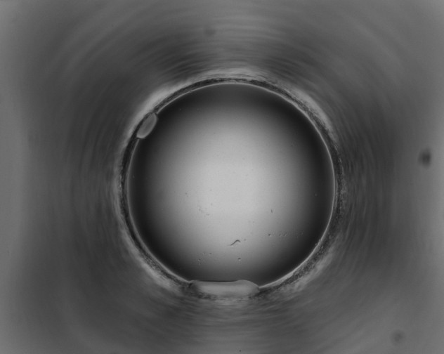 X0000102350989200808081150