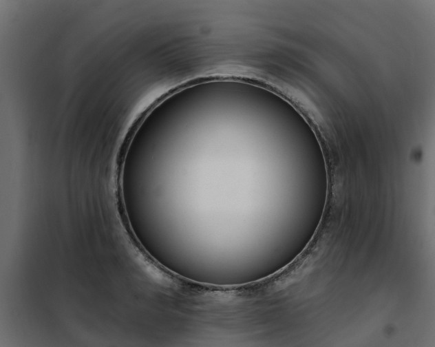 X0000102350990200808081150