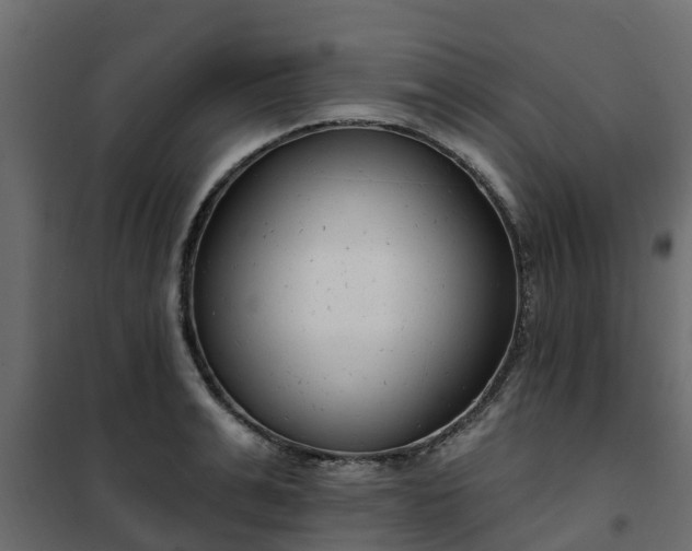 X0000102350991200808081150