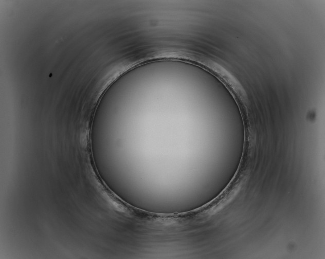 X0000102350993200808081150