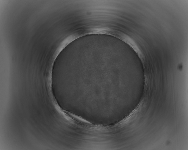 X0000102350994200808081150