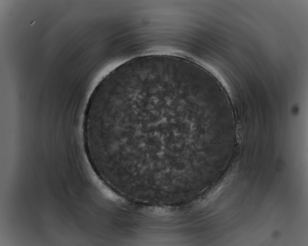 X0000102350995200808081150