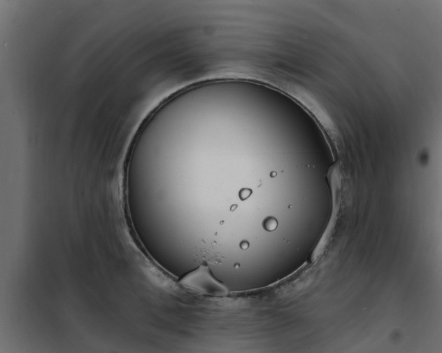 X0000102350996200808081150