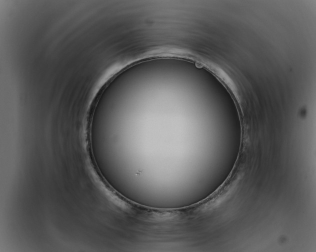 X0000102350997200808081150