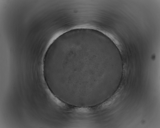 X0000102350998200808081150