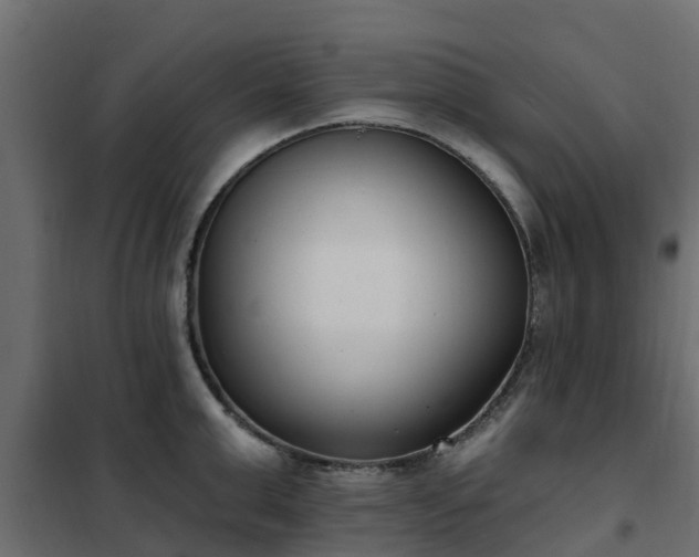 X0000102350999200808081150