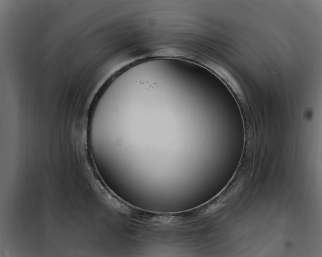 X0000102351000200808081150