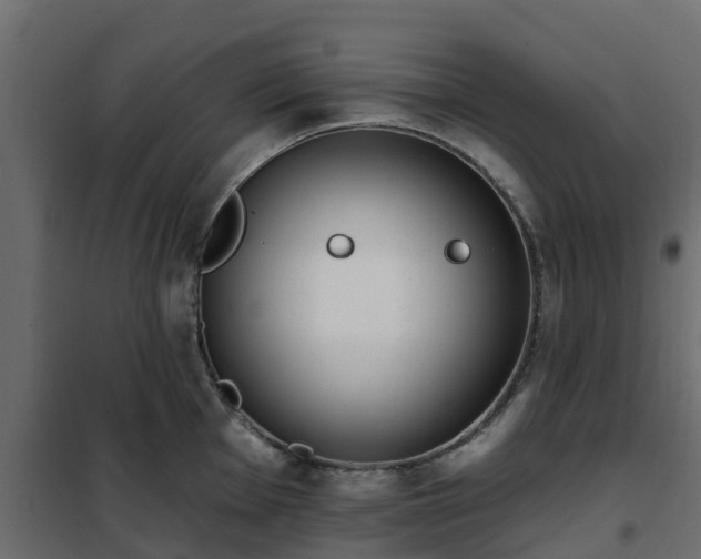 X0000102351001200808081150