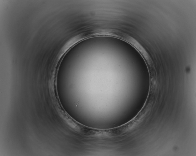 X0000102351002200808081150