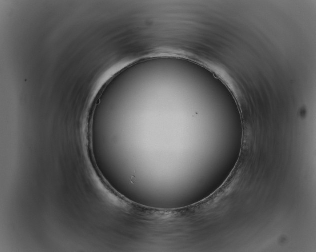 X0000102351003200808081150