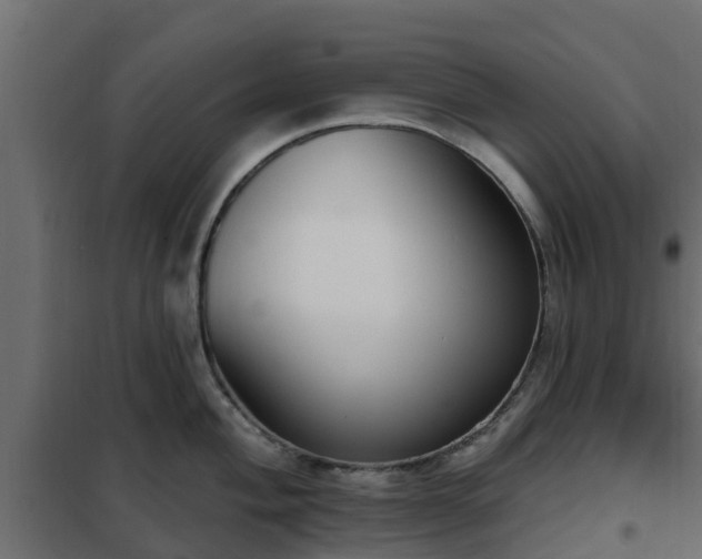 X0000102351004200808081150