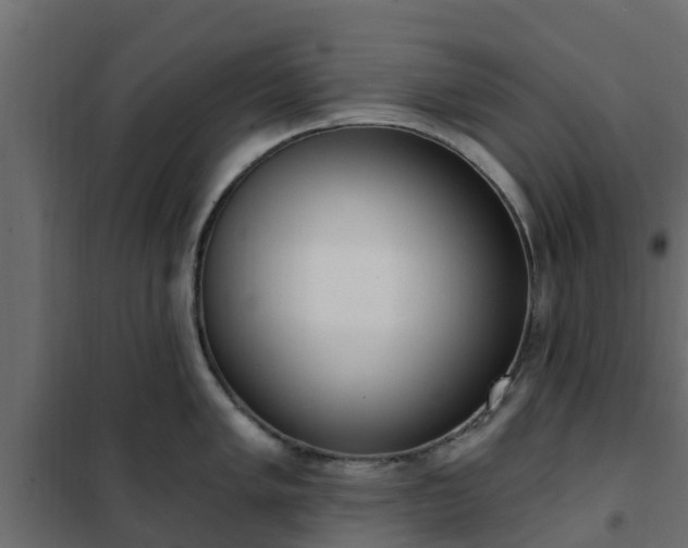 X0000102351005200808081150