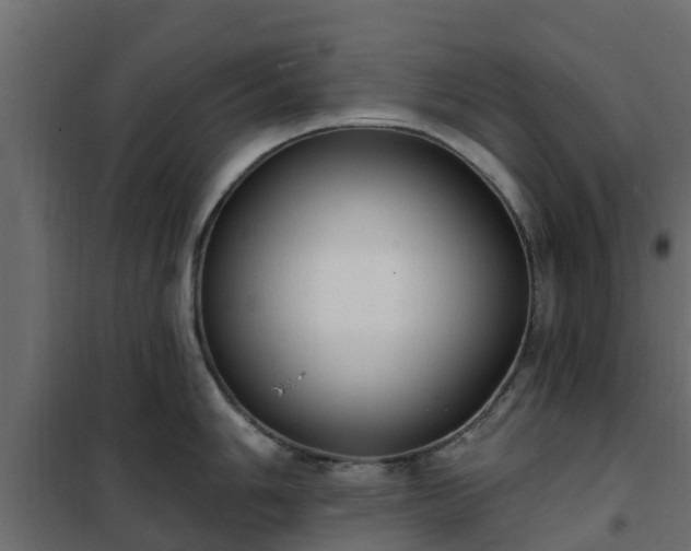 X0000102351006200808081150