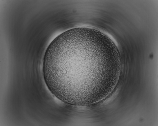 X0000102351007200808081150