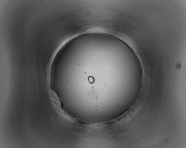 X0000102351008200808081150