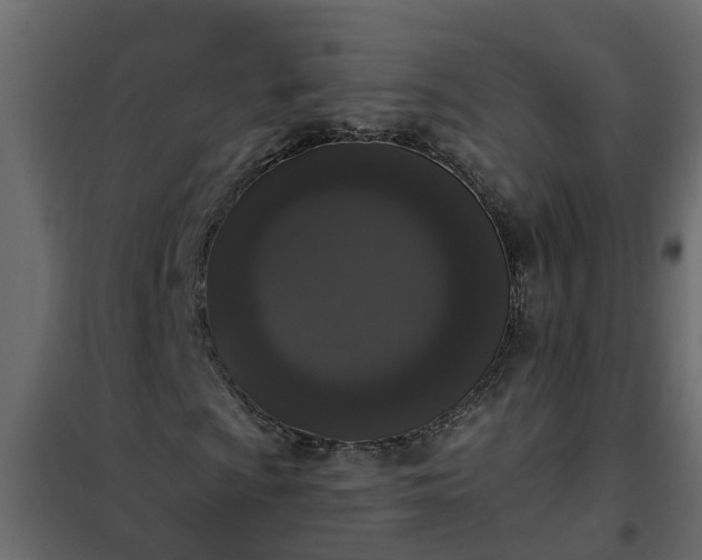 X0000102351009200808081149