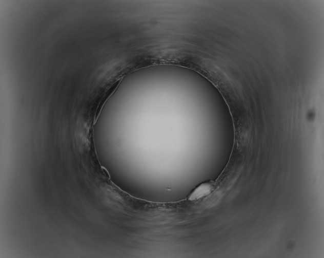 X0000102351010200808081149