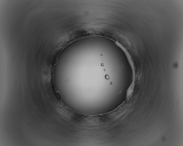 X0000102351012200808081149