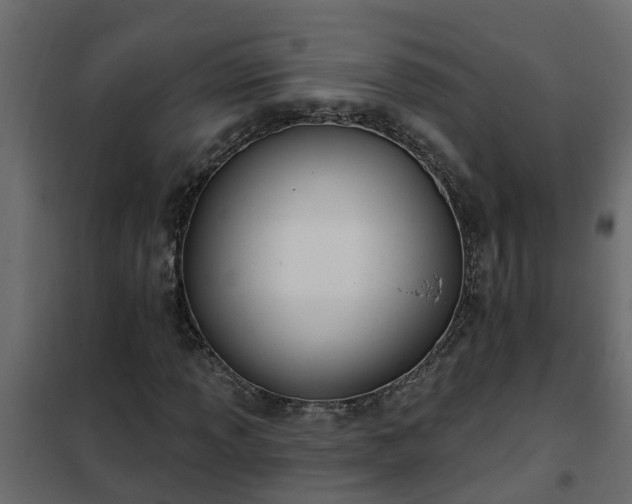 X0000102351013200808081149