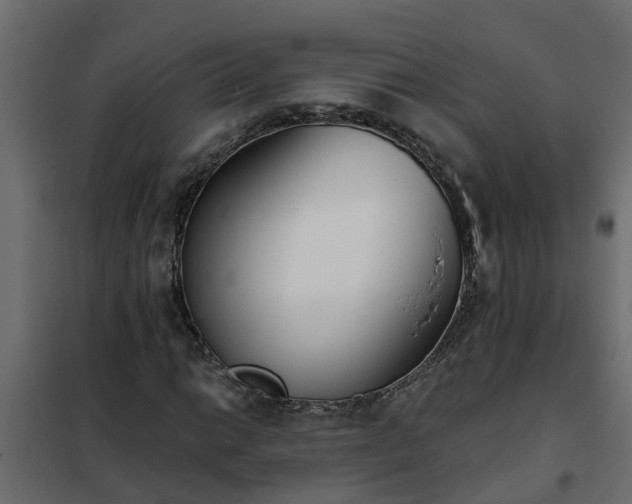 X0000102351014200808081149