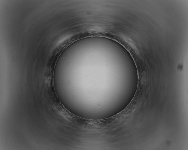 X0000102351015200808081149