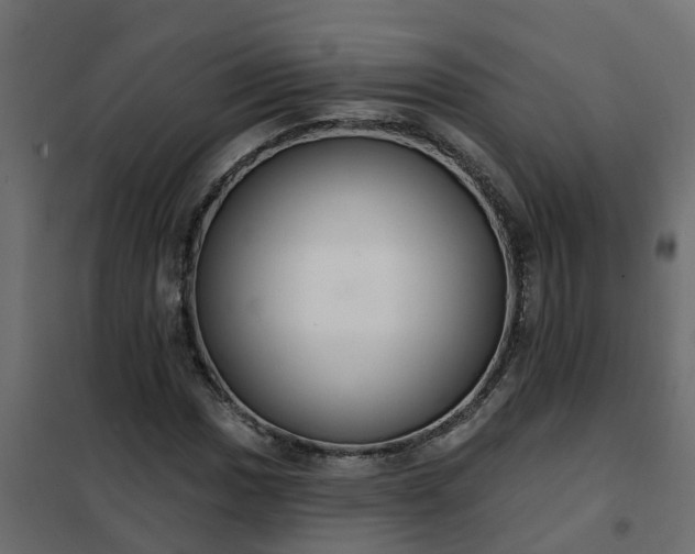 X0000102351017200808081149