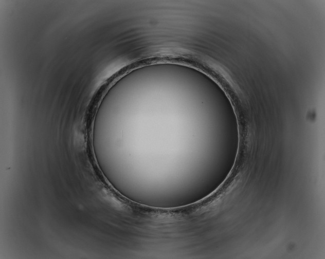 X0000102351018200808081149