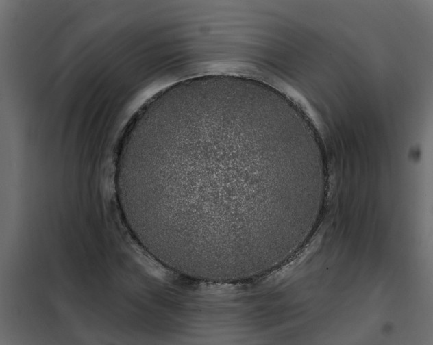 X0000102351019200808081149