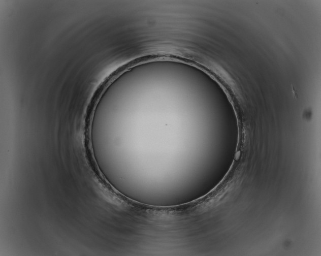 X0000102351020200808081149