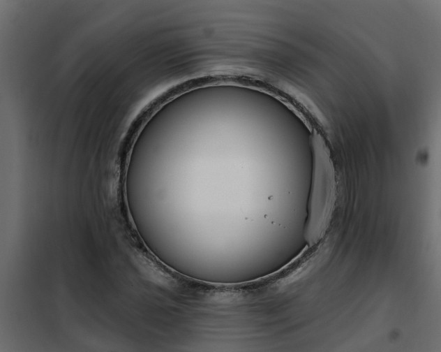 X0000102351021200808081149