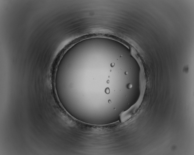 X0000102351022200808081149