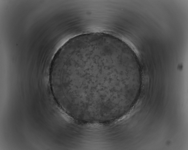 X0000102351023200808081149