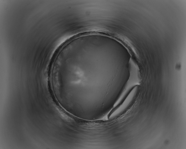 X0000102351024200808081150