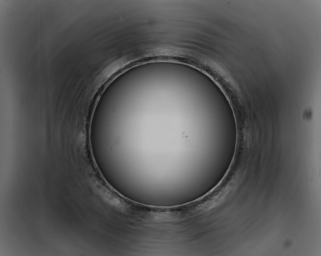 X0000102351025200808081150