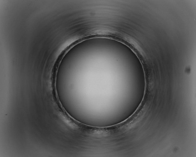 X0000102351026200808081150